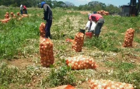 China financiará proyectos en beneficio de los productores nacionales