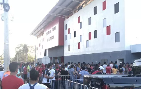 Abejas africanas hacen aplazar el partido entre Chiriquí vs.Tauro