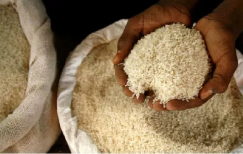 Coronavirus en Panamá: Productores analizarán propuesta del Gobierno