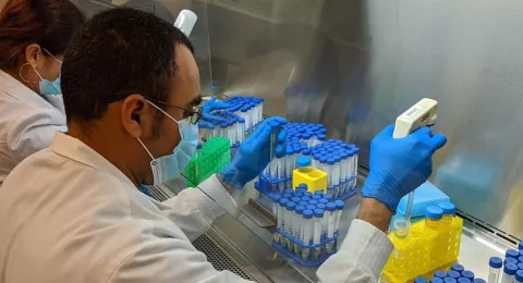 Coronavirus en Panamá: INDICASAT AIP produce localmente un reactivo crítico para los diagnósticos de COVID-19