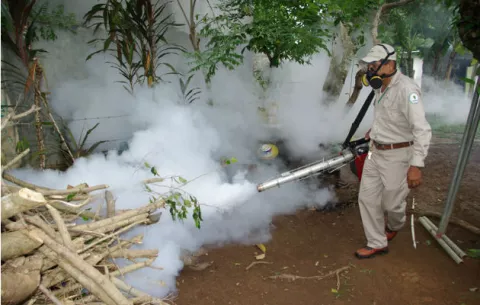 Minsa alerta sobre incremento de casos de dengue y reporta dos muertes