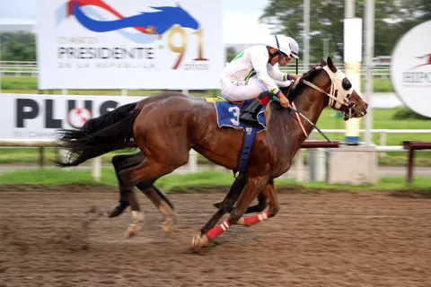 Tres debutantes tratarán de ganar de salida en una competencia impredecible