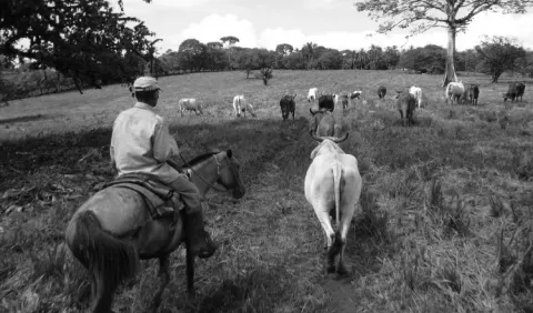 El sector agropecuario: muchas reuniones, cero soluciones