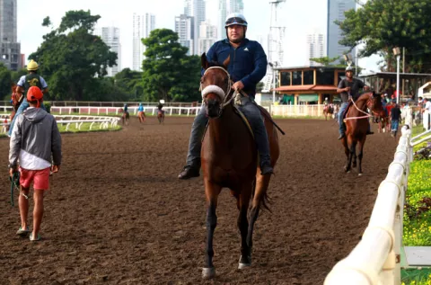 Carreras de caballos se realizarán en el hipódromo  el viernes 13, pero a puertas cerradas por coronavirus