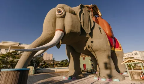 Lucy: un hospedaje singular, que necesita ser preservado