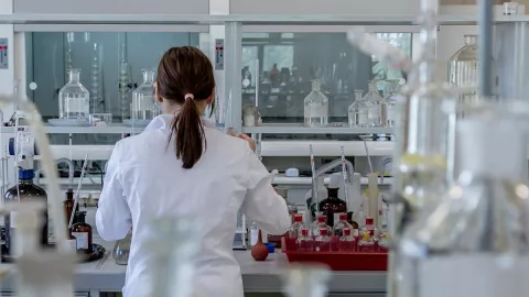 'Dinámica del empleo femenino en Panamá', será el tema del próximo Café Científico