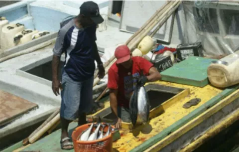 Modernizarán el  sector de la pesca y acuicultura