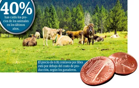 Se profundiza la crisis en el sector agropecuario 