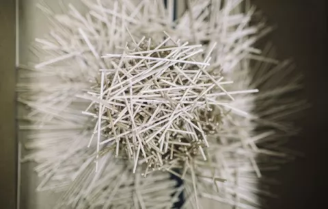 Un nido de aves es considerado una maravilla arquitectónica 