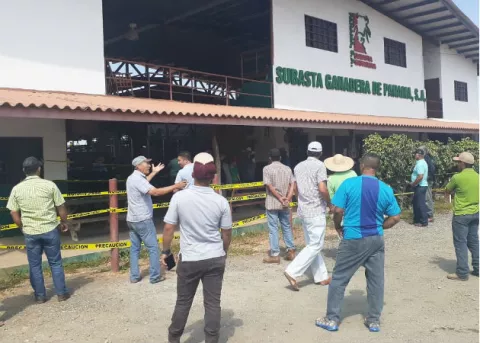 Cae venta en las subastas ganaderas en Guararé por Covid-19