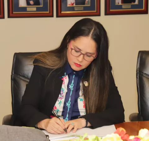 Aprueban el prohijamiento del anteproyecto de ley que establece una moratoria de 90 días