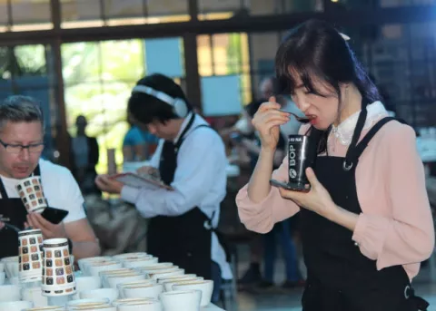 Cata internacional de mejor café en Panamá será virtual por pandemia de COVID-19