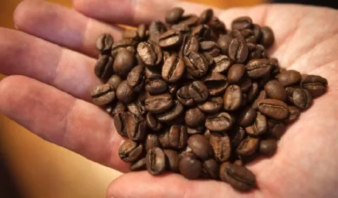 Exportación de café aumenta 10 por ciento
