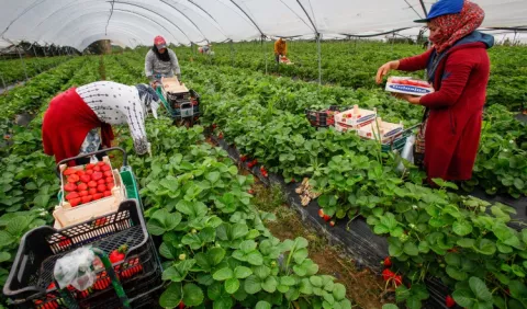 Expertos piden a países apoyar a la  pequeña producción agropecuaria