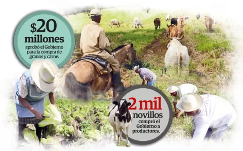 Rayos de bonanza para el sector agropecuario 