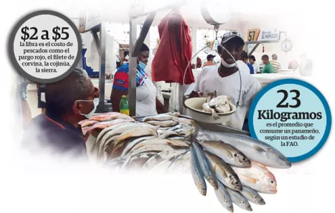 Ventas en el Mercado del Mariscos caen un 80 por ciento