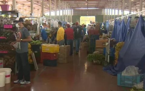 Productores hacen ajustes sanitarios ante la pandemia de COVID-19