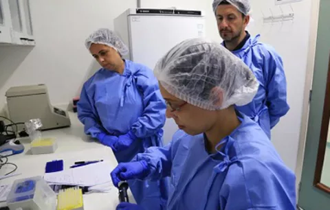 OMS y OPS piden ayuda para las Américas ante avance de pandemia de COVID-19