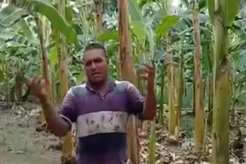 Hambre y desesperación empiezan a golpear a cientos de familias en Panamá, tras  crisis generada por el COVID-19
