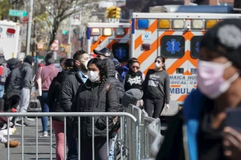 Varios animales del zoológico del Bronx contraen Covid-19