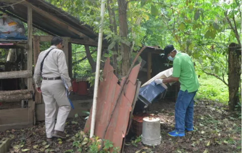 Detectan dos nuevos casos de Hantavirus en Tonosí