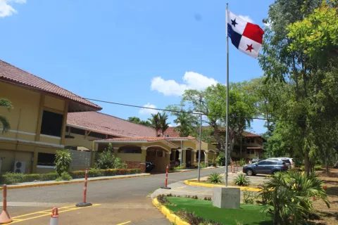 Meduca supervisa procesos virtuales de escuelas particulares en medio del COVD-19