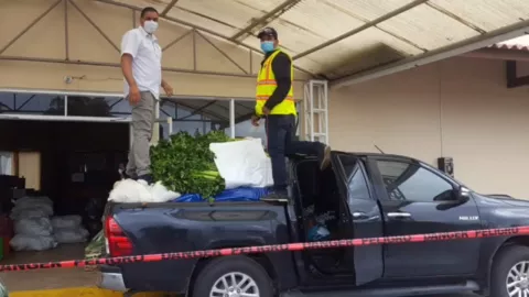 Chiriquí y Bocas del Toro intercambian rubros para ayudar a la población que sufre por el COVID-19