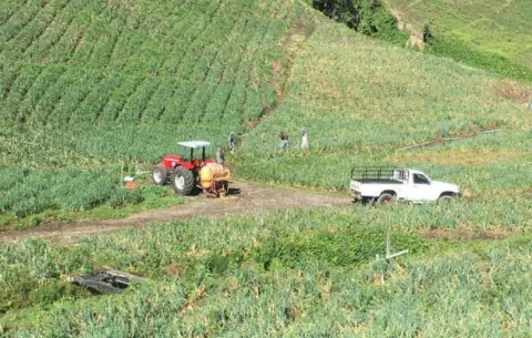Baja en el transporte de carga afecta cadena de comercialización de productos de Tierras Altas