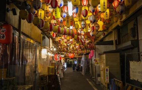 En medio de la pandemia, 'le llueve sobre mojado' a Japón