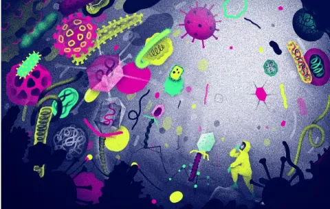 Científicos descubren miles de virus, pero sospechan que hay millones en el mundo