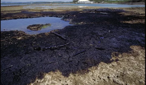 El derrame de petróleo en Bahía Las Minas es el mayor registrado cerca de hábitats costeros