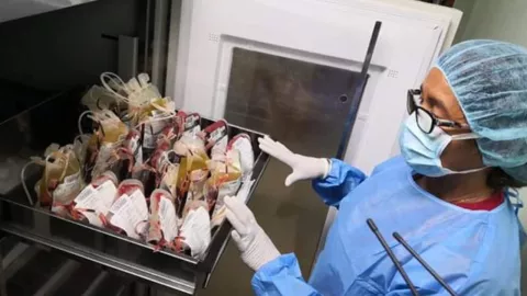 Hospitales de Bocas del Toro necesitan urgentemente donantes de sangre 