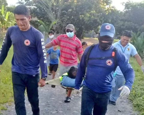 Hombre cae desde un árbol y sufre  lesiones múltiples
