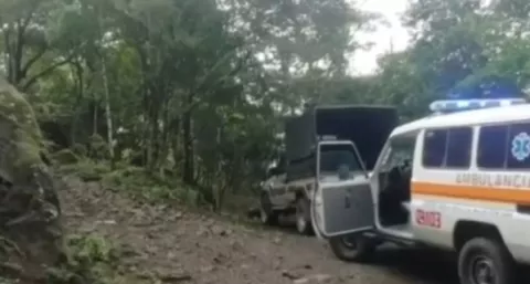 Hombre de 50 años se salva de morir luego de haberle caerle una rama encima