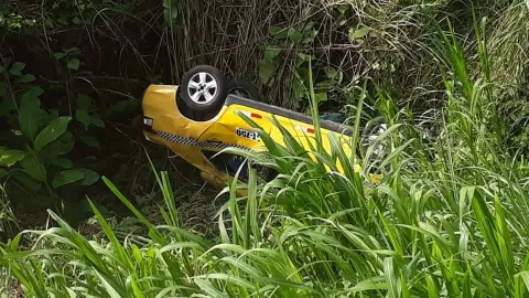 Taxista colonense vive para contarlo, su auto cayó al precipicio