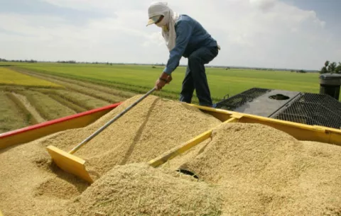 Augusto Valderrama: 'En nueve meses no hemos importado un sólo grano de arroz'