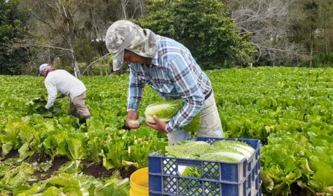 Riego de Tierras Altas ayudará a seguridad alimentaria del país