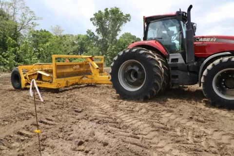 Sector agro, uno de los menos afectados por la pandemia 