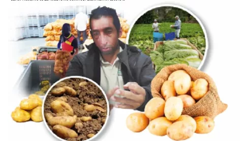 'El agro y la ganadería han sido  cenicientas'