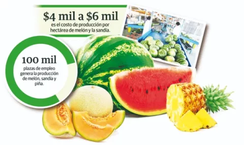Agroexportación reporta pérdidas y alerta desempleo