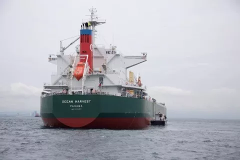 AMP suspende por 90 días el pago de fondeo a naves pertenecientes al registro de buques de Panamá