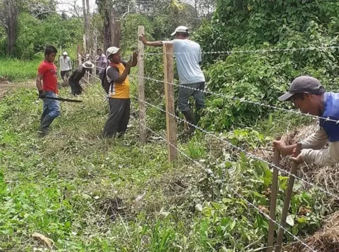 Denuncian invasión de tierras y tala indiscriminada en medio de cuarentena en territorios indígenas en Darién 