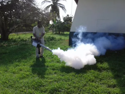 Las autoridades de salud confirman que en lo que va del año hay 45 casos de dengue en Herrera