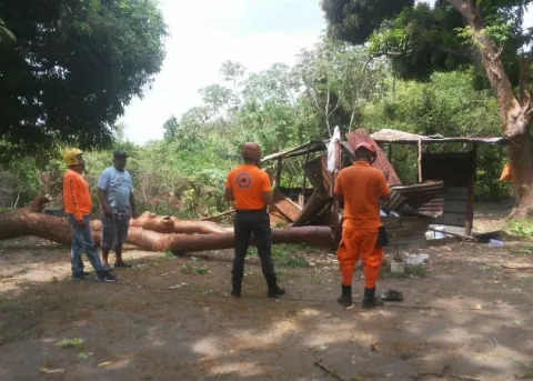 En Guayabitos de San Carlos, tres heridos al caer un árbol sobre una vivienda 