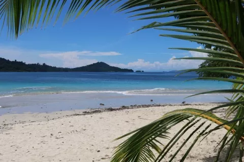 Panamá se prepara para inventario y certificación de playas a través de Coiba AIP