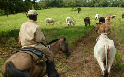 Tasa de interés a préstamos de productores será del 2%