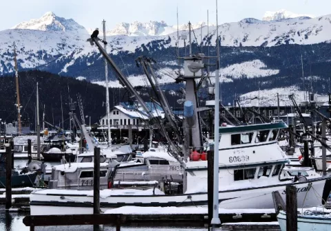 Pescadores llevan la amenaza del virus a Alaska