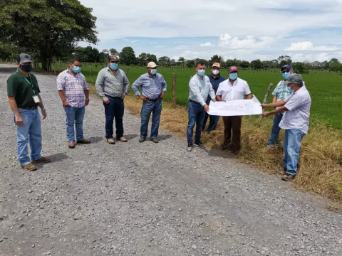 Banapiña está interesada en las tierras de Alanje para establecer cultivos