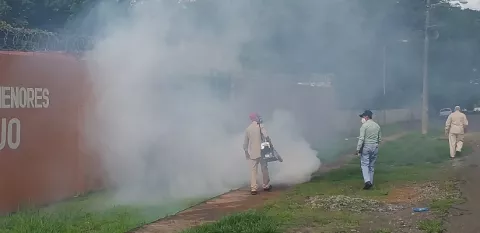 Preocupación por el aumento de casos de dengue en Chiriquí