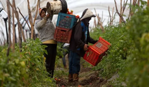 IICA y Costa Rica exploraran iniciativas conjuntas 